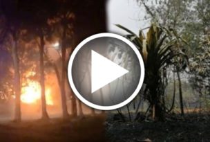 疑非法焚烧垃圾 40英亩丛林烧7小时