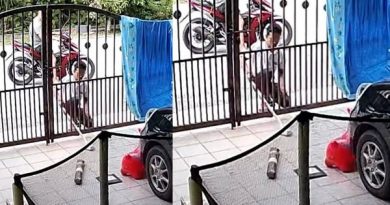 趁屋主外出工作 2贼伸棍子偷包裹