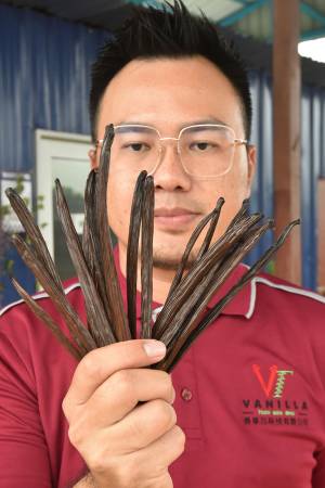 杨振龙：我们公司推广香草兰的种植项目，欢迎有意者接洽。