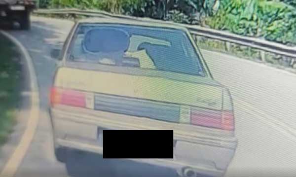 陈泓宇揭父亲被撞死 吁逃逸司机现身道歉