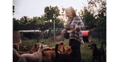 麻坡爱心流浪狗协会 下月4日筹款宴