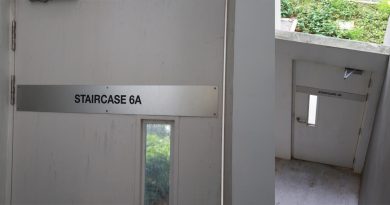 四周没衔接其他建筑结构 组屋惊现“神秘门”用途成谜