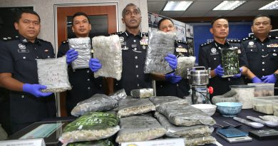 柔州出现 高纯度大麻花！