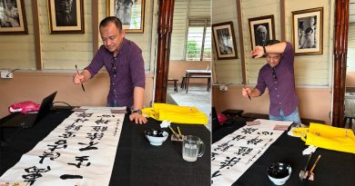 马智礼展现书法实力 网民赞赏不已