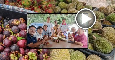 80饕客聚亚逸班那 爽吃 800公斤土种榴梿