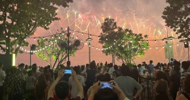 新加坡国庆烟花秀 好位子都抢完了