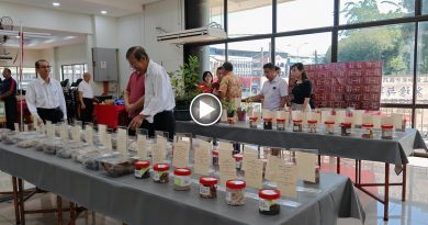 昔中医药业公会义诊 展览 60药材草药知多点