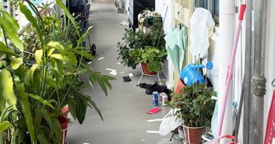 女儿住进男友家 父母屋外撒冥纸大骂