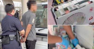 冷气零件藏大批电子烟 大马男走私狮城被捕