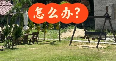 孕妇误食恶心呕吐 蘑菇汤惊见老鼠屎