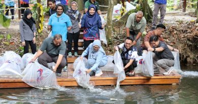 森林局及渔业局 释放2000吉罗鱼苗