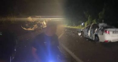 轿车撞野象 女司机受轻伤