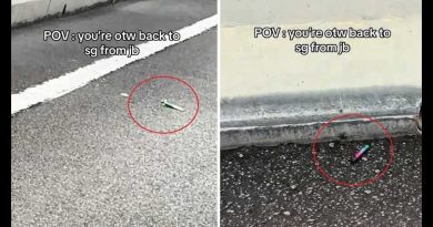 马劳“吸完就丢” 长堤上都是电子烟