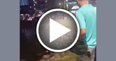 女子目击立即报警 仍救不回跳海华裔老妇