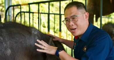 人象冲突  6年增150宗 州政府拨款展开迁移