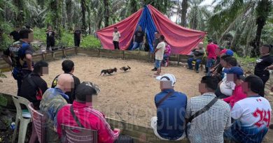 获邀赌客才准入场  警破非法斗鸡场