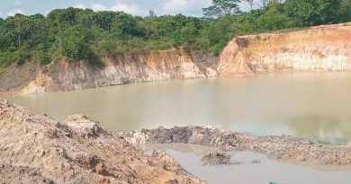 36岁男子坠湖 溺毙