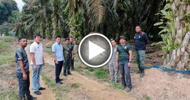 彼咯9天行动 成功捕获1野象