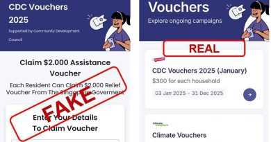 冒充狮城政府送购物券 诱点链接盗资料再诈财