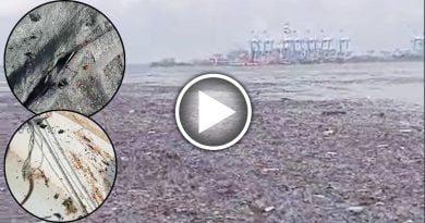 森林城市海域受污染  环境局：油渍为机舱废油