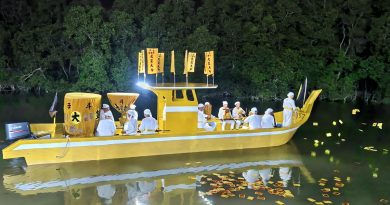 龙引斗母宫数百信徒参盛 出海迎九皇爷香炉回宫