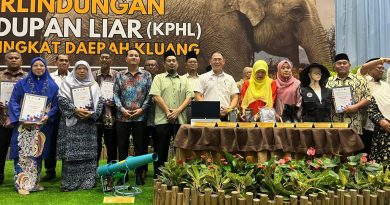 去年105起人与野象冲突  居銮启动全国首个社区保护计划