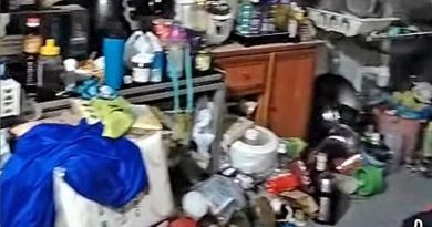 夫妻囤40鸟笼未清理　鸟尸腐烂成垃圾屋