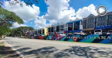 市议会再聘画家作画 古来庄园添壁画