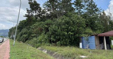 昔利民达丽雅花园 华岚拨2万建替代路