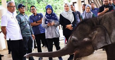 州政府与多部门合作 解决民众野象冲突