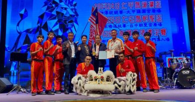 大屯妈朝圣杯南狮高桩总决赛 麻关圣宫夺世界狮王