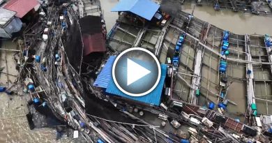 龟咯突发强风掀翻鱼排 业者损失数百万令吉