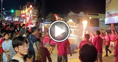 麻坡斗母宫九皇爷巡境   逾百队伍  万人空巷