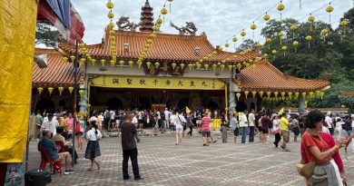 国内外香客涌入祈福 三善宫九皇爷诞 香火旺