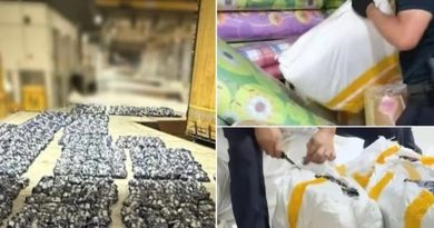 涉走私逾4200包咀嚼烟草入新 大马青年被捕