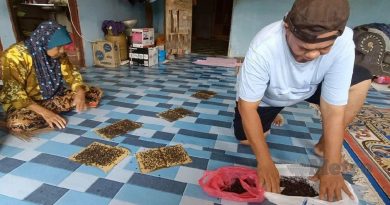 苍蝇围食物 停在眼鼻 居民睡觉也无法安宁