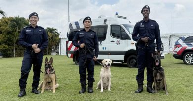直击K9警犬训练基地 神鼻1分钟内嗅出毒品