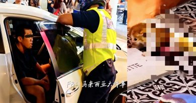 嗑药？醉驾？华裔司机撞餐厅 伤及2童及猫咪