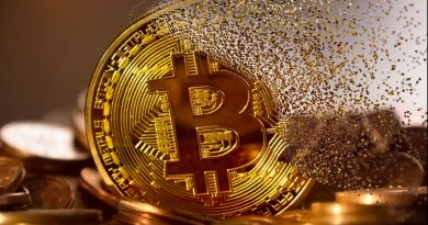 单亲妈坠网恋骗局 逾38万交对方投资