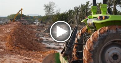 抢修龙引海边防浪堤岸 料25日全面竣工