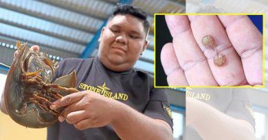 三兄妹继承父业 柔唯一鲎保育中心