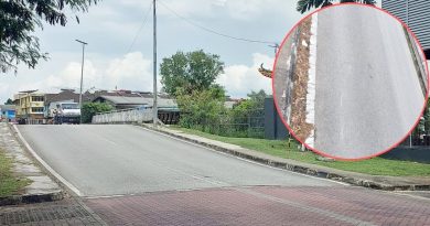 桥上突失控摔倒 骑士送院抢救不治