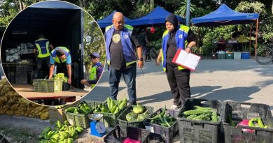 本地人租档 聘外劳掌摊 麻市议会取缔 5人接罚单