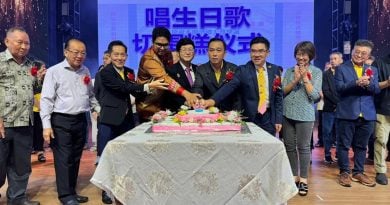 宋极阁设5年目标 筹千万建全新阁所